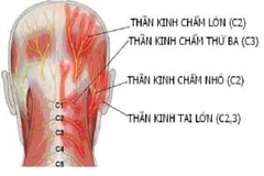 VẤN ĐỀ VỀ CỘT SỐNG CÓ LIÊN QUAN ĐẾN BỆNH HUYẾT ÁP, TIM ĐẬP NHANH KHÔNG???