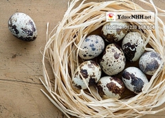 Trứng cút ưu điểm phòng bệnh chữa bệnh đặc biệt bạn nên biết