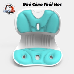 Ghế Điều Chỉnh Tư Thế Chống Gù Lưng, Ghế Công Thái Học Chỉnh Dáng Ngồi Đúng Nam Nữ