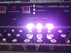 ĐÈN LED BÓNG TRÒN NÔNG NGHIỆP 12W