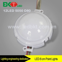 12 LED MODULE D80