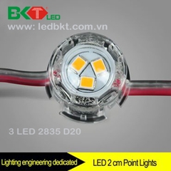 3 LED MODULE D20