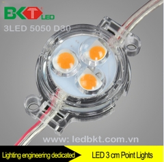 3 LED MODULE D30