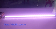ĐÈN LED NÔNG NGHIỆP 25W