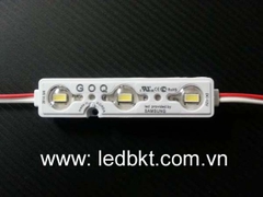 LED GOQ CỤM 3 BÓNG CAP 5630