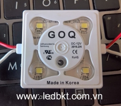 GOQ 4 CAP LED 2835