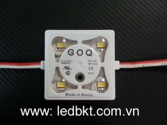 GOQ 4 LED 5630 CAP