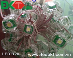 1 LED MODULE D20