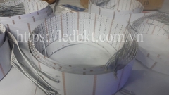Led dây 5mm - 120 led 2835/m 24V