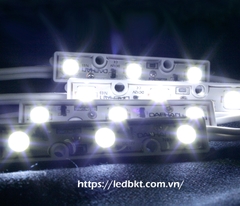 MODULE 3 LED DAEHAN HÀN QUỐC