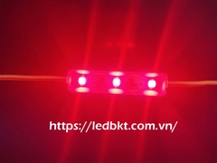 MODULE 3 LED MÀU ĐỎ 24-28V