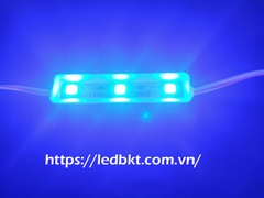 MODULE 3 LED 5054 XANH DƯƠNG 24-28V