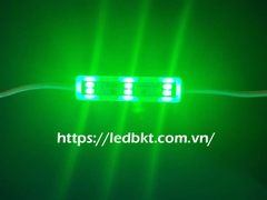 MODULE 3 LED 5054 XANH LÁ 24-28V