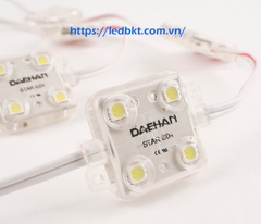 Module 4 led Daehan Hàn Quốc