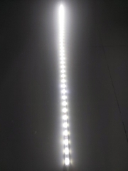 LED DÂY 36 LED/M 12 / 24V GÓC CHIẾU 170 ĐỘ