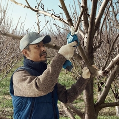 MÁY TỈA CÂY PRO PRUNER