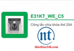 Công tắc chìa khóa thẻ 20A (E31KT_WE_C5)