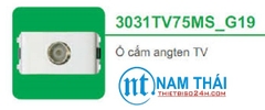 Ổ cắm ăng ten TV (3031TV75MS_G19)