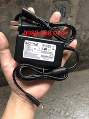 adapter 8.4v 1a