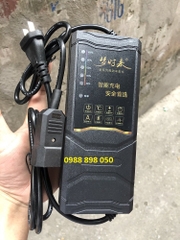 Cục Sạc Xe Điện 133S chân rỗng chụp 48v 20ah