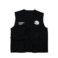 DVSL VEST EXPERIMENT