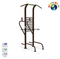 Thiết bị tập xà đơn xà kép kết hợp - BHS32A