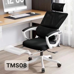 Ghế Công Thái Học TMS08