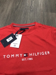 Áo T-shirt Tommy Nam CT Full MW0MW16171