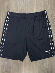 QSM Puma 848595