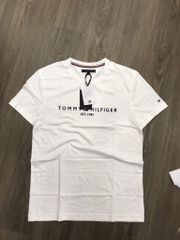 Áo T-shirt Tommy Nam CT Full MW0MW16171