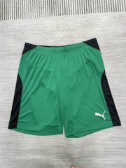 QSM PUMA