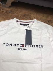 Áo T-shirt Tommy Nam CT Full MW0MW16171