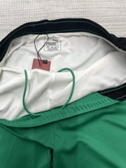 QSM PUMA