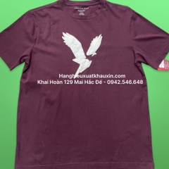 ATCTM AE AE001