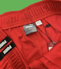 Quần Short Puma Nam 848595