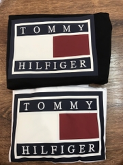 Áo Tshirt Tommy Nam CT MW0MW23938