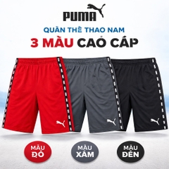 Quần Short Puma Nam 848595