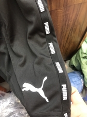 QSM Puma 848595