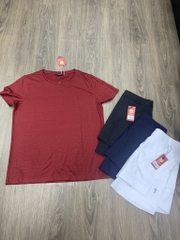 Áo tshirt Hazzys Nữ HSTS9B327