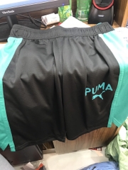 QSM PUMA