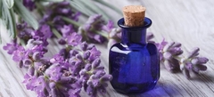 TÚI HOA LAVENDER – OẢI HƯƠNG – HÀNG NỘI ĐỊA PHÁP 