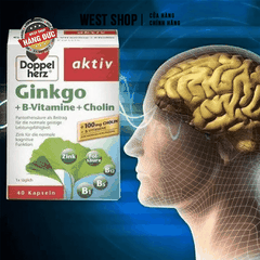 THUỐC BỔ NÃO GINKGO AKTIV DOPPELHERZ ĐỨC 40 VIÊN