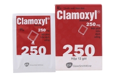 Thuốc kháng sinh Clamoxyl 250mg