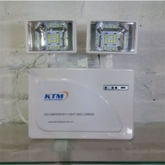 Đèn sự cố DT - 209