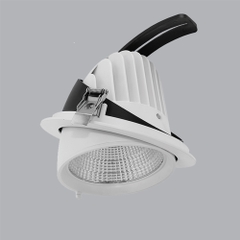 ĐÈN DOWNLIGHT ĐIỀU CHỈNH MPE 12W