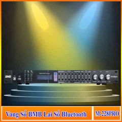 Vang Số Chỉnh Cơ BMB M228 Pro