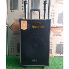 Loa Kéo T15 BNIB Bas 40