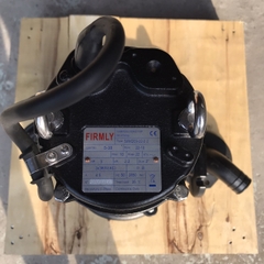 Bơm chìm nước thải FIRMLY 50WQC9-22-2.2