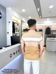 ÁO THUN POLO APV262019