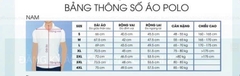 ÁO THUN POLO APV262018